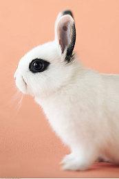 2023年1月PS下载榜 《魔咒之地》不及《死亡空间：重制版》